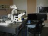Cканирующий лазерный конфокальный микроскоп Axiovert 200M LSM510 META (Carl Zeiss)  c оптико-электронным модулем  [0386-44-2022/2179-2011]